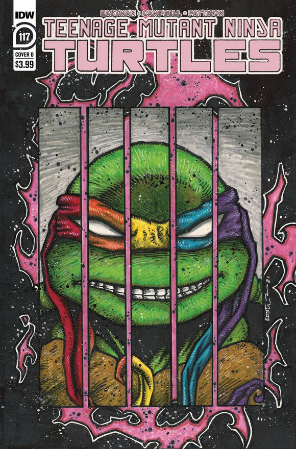 Teenage Mutant Ninja Turtles #117 Cover B Eastman Variant