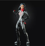 Marvel Legends Series Fan Vote Silk Action Figure 6 inch - grayskullhobbies.com